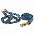Kit harnais et laisse pour chien en simili cuir