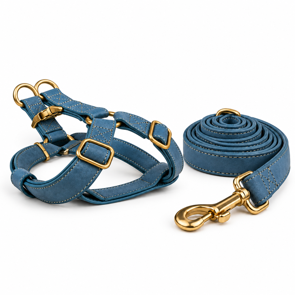 Kit harnais et laisse pour chien en simili cuir
