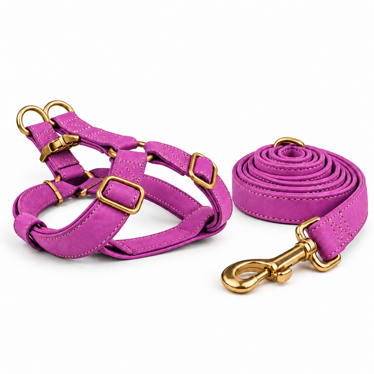 Kit harnais et laisse pour chien en simili cuir