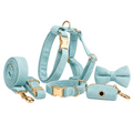 Kit complet de promenade pour chien en velours côtelé