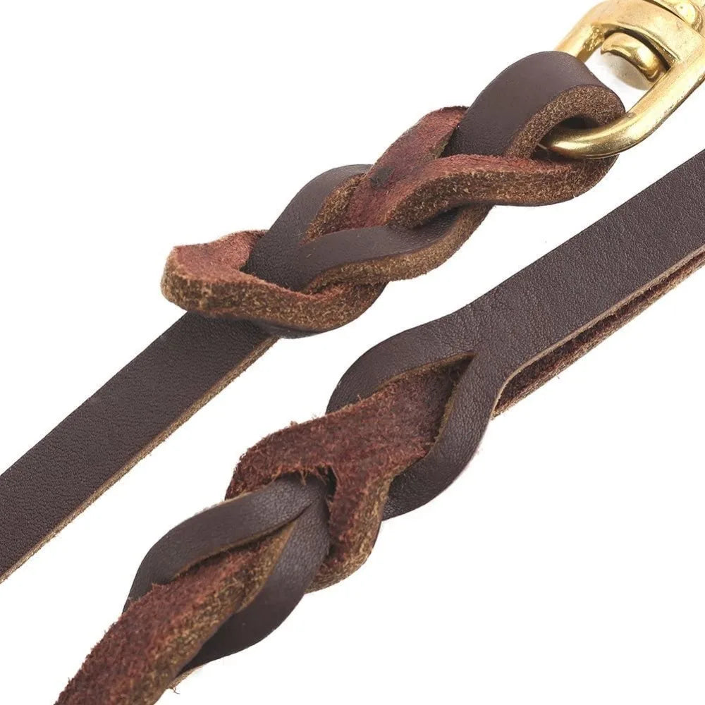 Laisse tressée en cuir pour chien marron