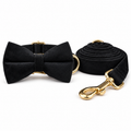 Ensemble laisse et collier avec nœud pour chien noir, finitions dorées, sur fond blanc