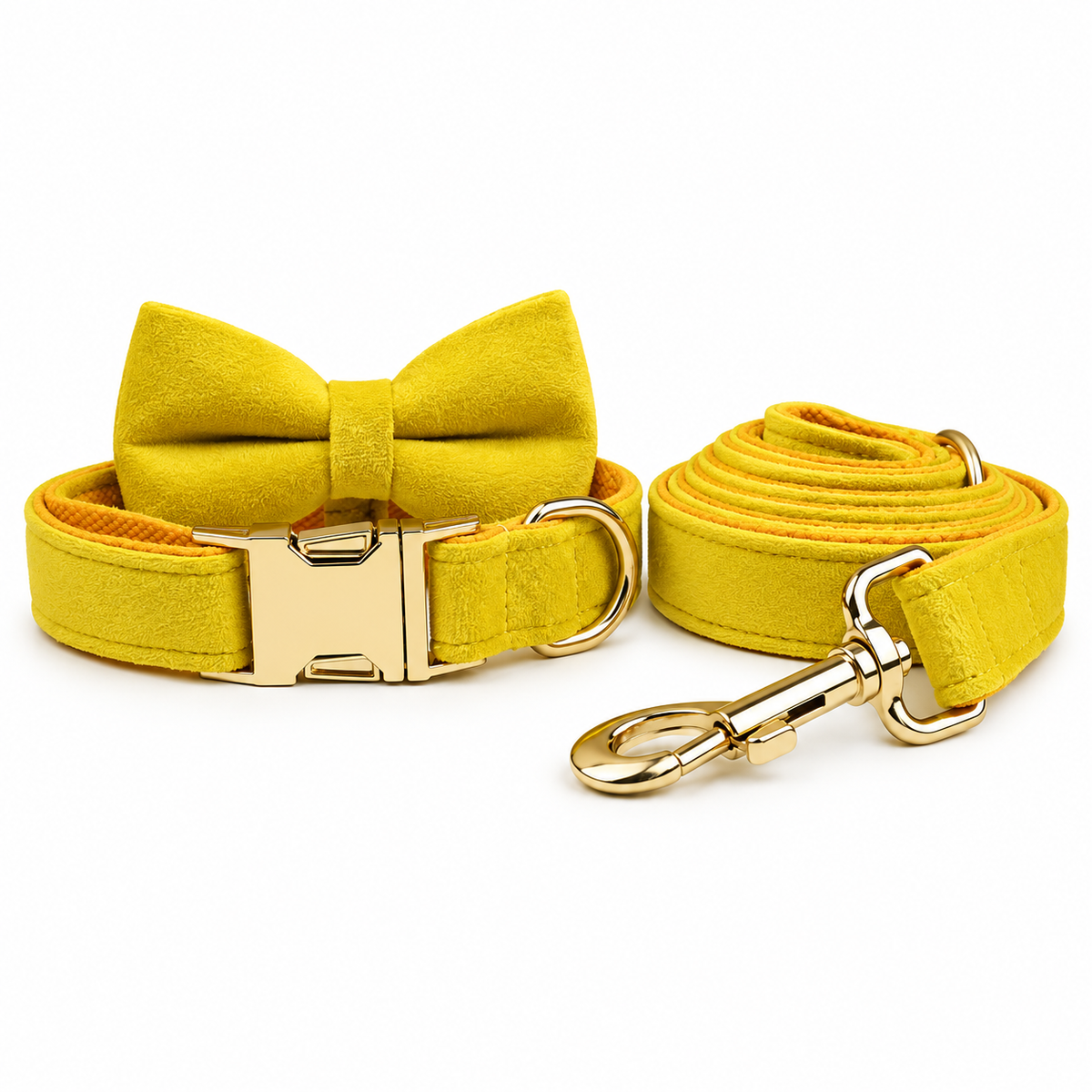Ensemble laisse et collier avec nœud pour chien jaune, finitions dorées, sur fond blanc